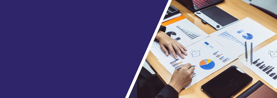 Qualitative Business Research Services