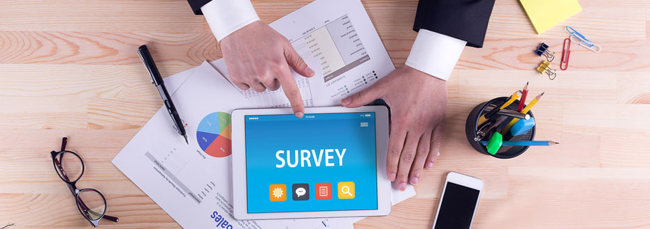 Case Study on Market Research Survey for Government Agency