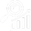 Audience Segmentation Execution