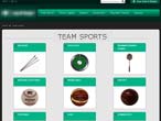 ecommerce website