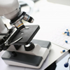 Clinical Research Translations Clinical Research Translations